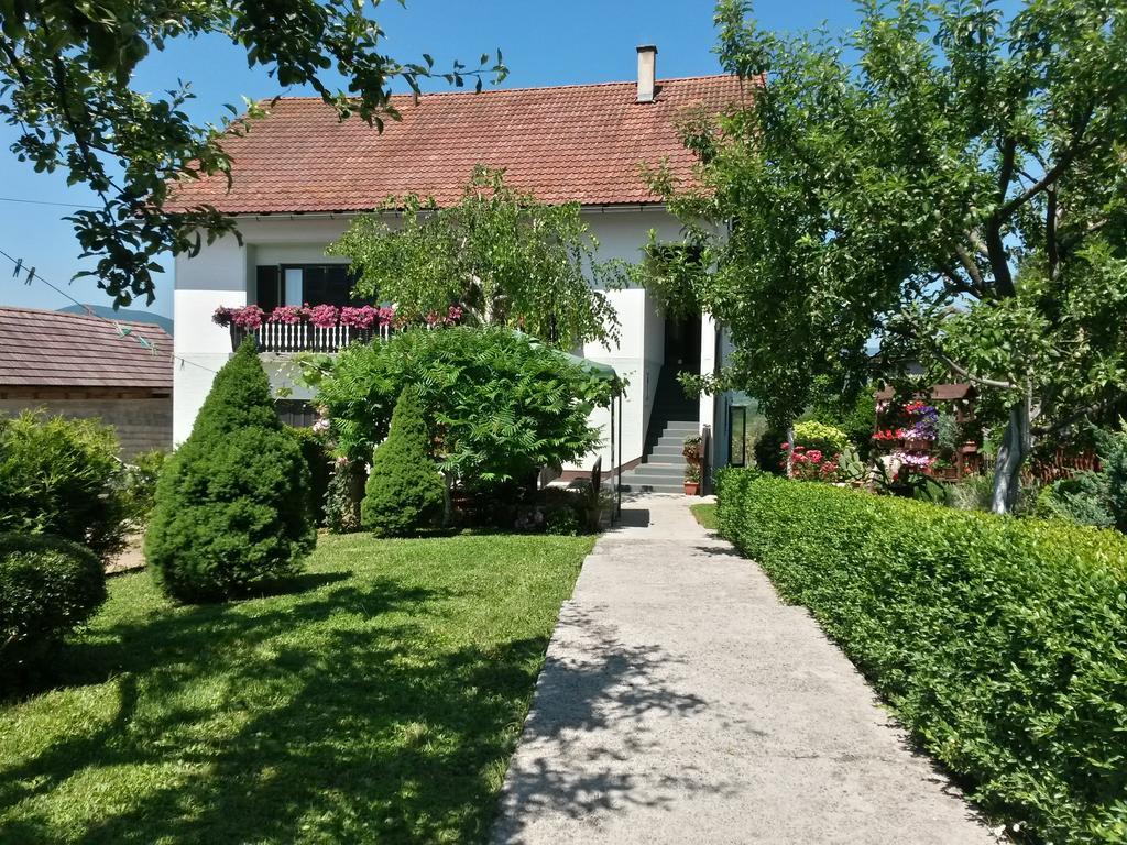 Guesthouse Pavlicic Drežnik Grad Exterior foto