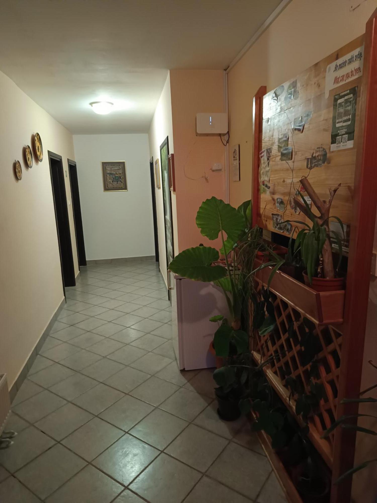 Guesthouse Pavlicic Drežnik Grad Exterior foto