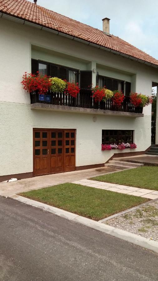Guesthouse Pavlicic Drežnik Grad Exterior foto